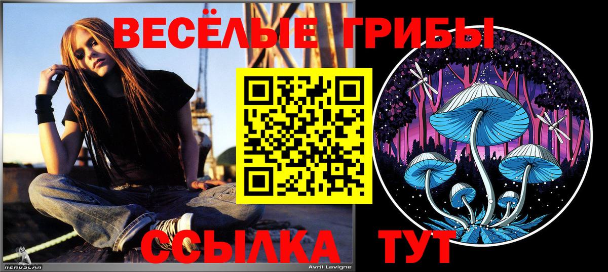Псилоцибиновые грибы MAGIC MUSHROOMS  Псилоцибиновые грибы MAGIC MUSHROOMS  Ирбит  Вход с VPN 